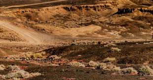 库尔图瓦战曼城全场数据：完成6次扑救，对首粒丢球有责任